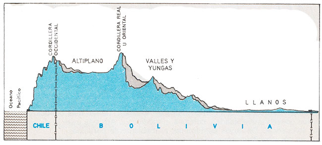 Diferentes alturas de las tres zonas de Bolivia - Ciencias Sociales - Ibolivia.net