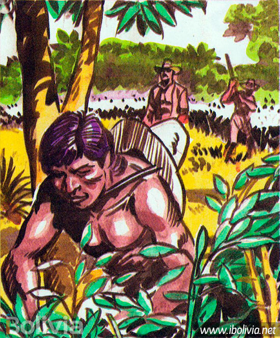 Dibujo - Las haciendas y el liberalismo - Las comunidades indígenas y la tierra - Historia de Bolivia - www.ibolivia.net
